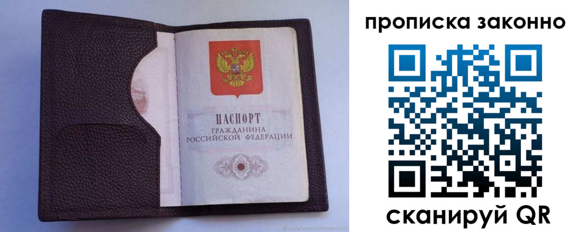 регистрация в Ельце